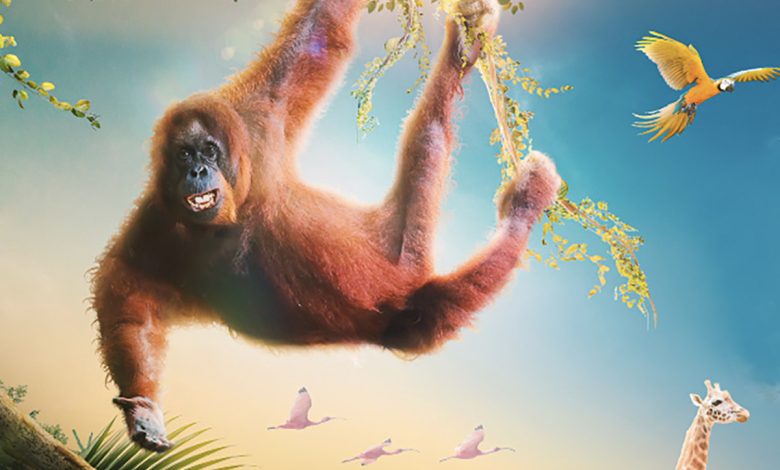 موسم الرياض 2026: رابط منصة وي بوك webook لحجز تذكرة حديقة الحيوان الكترونيا