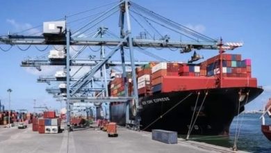 ميناء دمياط يصدر أكثر من 33 ألف طن بضائع ويستقبل سفينة حاويات عملاقة