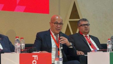 نائب المجلس التصديري للحاصلات الزراعية: القيمة المضافة هي سر التنافسية في الأسواق العالمية