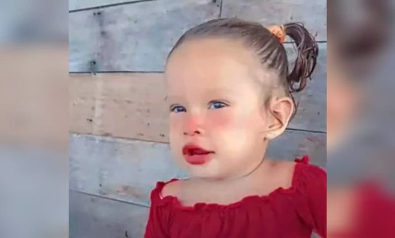 نهاية لا يتخيلها عقل.. أسماك بيرانا مفترسة تفتك برضيعة سقطت في نهر برازيلي