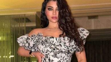 هيفاء وهبي تعود للغناء في مصر بحكم قضائي.. وهكذا علقت!