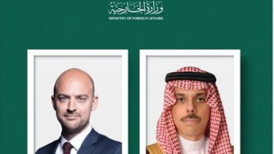 وزير الخارجية ونظيره الفرنسي يبحثان العلاقات الثنائية والمستجدات الدولية