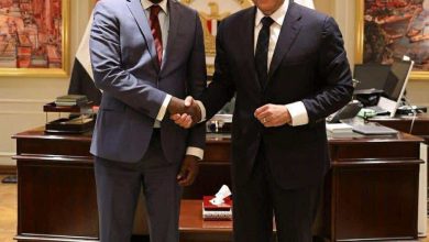 وزير الصحة يناقش مع مدير المركز الأفريقي للأمراض تطوير آليات الاستجابة السريعة للتحديات الصحية الطارئة