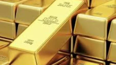 توقع محللون أن تبقى العديد من العوامل التي ساهمت في الارتفاع الكبير للذهب قائمة هذا العام.