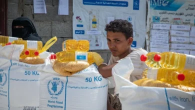 البرنامج يسرح 365 موظفاً