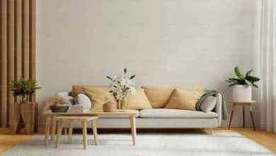 6 نباتات وزهور مناسبة للاقتناء في الشتاء تضيف حيوية وتلطّف أجواء المنزل