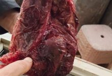 صورة موضوعية