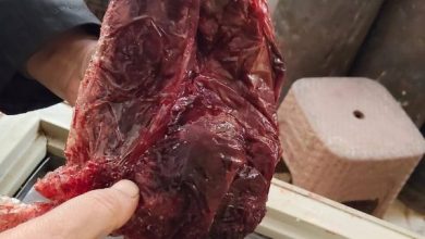 صورة موضوعية