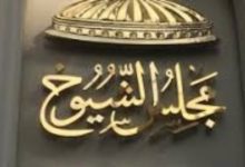 مجلس الشيوخ