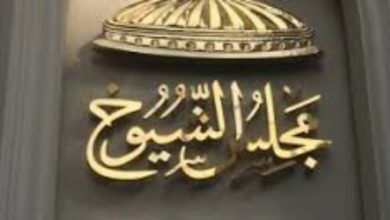 مجلس الشيوخ