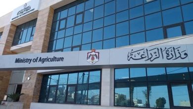 إرشادات للمزارعين للتعامل مع المنخفض الجوي...