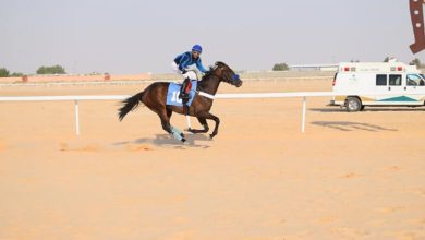 الأحساء تقيم الحفل الحادي عشر لسباق ميدان الفروسية