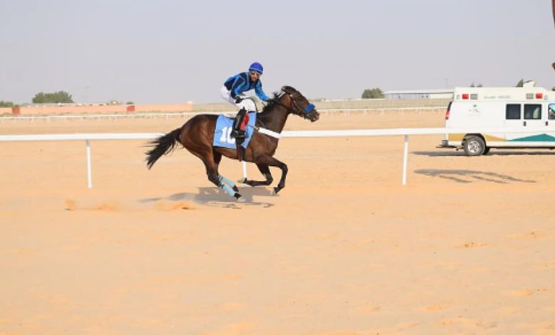 الأحساء تقيم الحفل الحادي عشر لسباق ميدان الفروسية