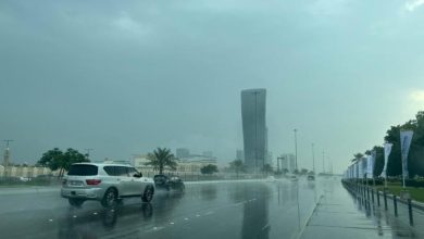 الأرصاد: غدا طقس دافيء نهارا شديد البرودة ليلا.. والصغرى بالقاهرة 12