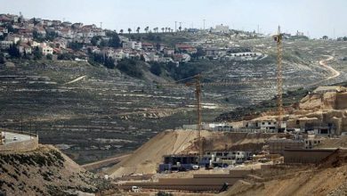 الاحتلال يستولي على 695 دونما من أراضي الفلسطينيين بين سلفيت وقلقيلية