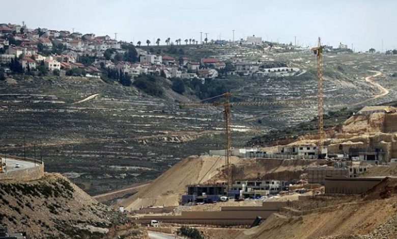 الاحتلال يستولي على 695 دونما من أراضي الفلسطينيين بين سلفيت وقلقيلية