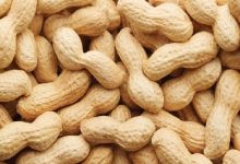 الجوز أو الفول السوداني.. أيهما يتفوّق في حماية القلب؟