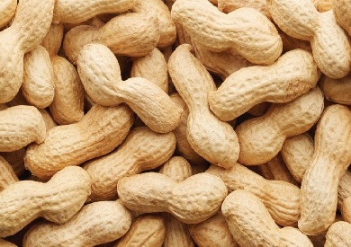 الجوز أو الفول السوداني.. أيهما يتفوّق في حماية القلب؟