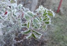 الحالة الجوية في الاردن خلال الأيام الأربعة المقبلة...