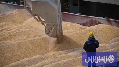 الحكومة تقرر مواصلة دعم القمح اللين