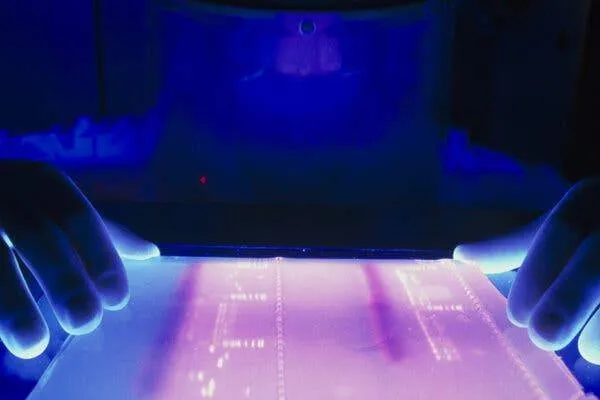 الذكاء الاصطناعي يفكّ شفرة الجينوم البشري