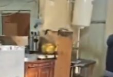 «الزراعة»: جولات على حظائر كبد لرصد تجاوزات شروط التخصيص