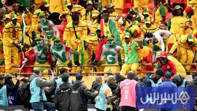 الصحافة الرياضية تطالب بتحقيق دولي