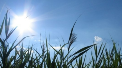 الطقس: ارتفاع على درجات الحرارة مع بقاء الأجواء باردة