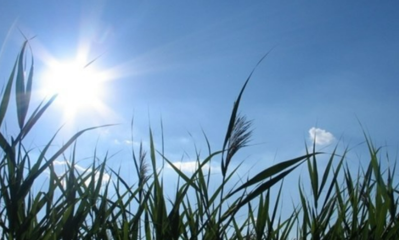 الطقس: ارتفاع على درجات الحرارة مع بقاء الأجواء باردة