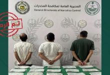 القبض على 3 أشخاص بمنطقة عسير لترويجهم 15 كيلوجرامًا من الحشيش