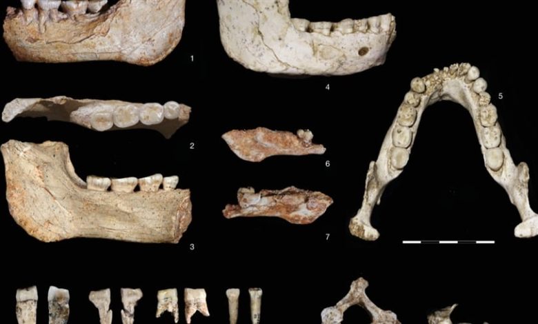 المغرب.. العثور على أقدم أحافير بشرية عمرها 773 ألف عام