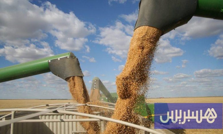 المغرب يستكمل حصة القمح الأمريكي