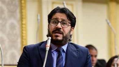 النائب أحمد بلال البرلسي يطالب بحد أدنى للمعاشات: الحكومة لا تدفع شيئا.. وهذه أموال المصريين