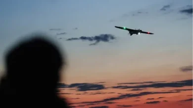 الهند تتهم باكستان بإطلاق مسيرات عبر الحدود حلقت فوق كشمير