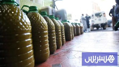 انخفاض غير مسبوق "يعصر" أسعار زيت الزيتون بالمغرب