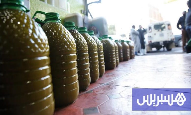 انخفاض غير مسبوق "يعصر" أسعار زيت الزيتون بالمغرب