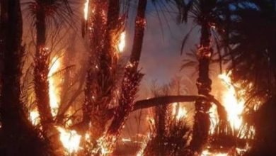 اندلاع حريق بمخلفات في أرض كلية الزراعة بجامعة القاهرة