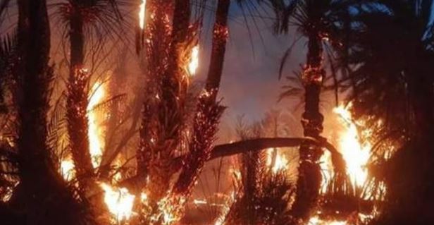 اندلاع حريق بمخلفات في أرض كلية الزراعة بجامعة القاهرة