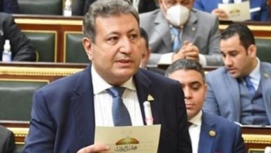 بعد رأس الحكمة وعلم الروم.. النائب طارق شكري: هناك توقع لتعاقدات قريبة جدا مع دولة خليجية أخرى