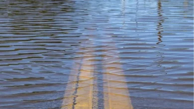 بلدية دير علا توسع مجرى سيل الزرقاء استعدادا لأمطار غزيرة...