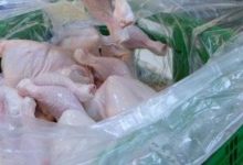 «بيئة الرياض» تضبط أكثر من 4 أطنان من الدواجن مجهولة المصدر