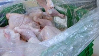 «بيئة الرياض» تضبط أكثر من 4 أطنان من الدواجن مجهولة المصدر