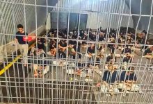 بيانات الأسرى: أكثر من 9350 فلسطينيا في سجون الاحتلال حتى مطلع يناير