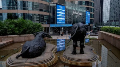 «بيرين» الصينية لتصنيع الرقائق تقفز 76 % فور الإدراج