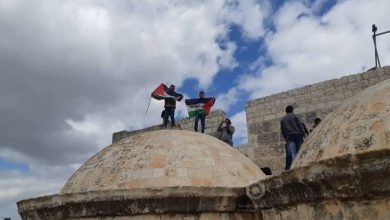 بين الحلم والواقع.. فلسطين حيّة