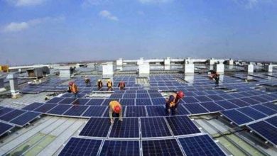 تباطؤ نمو الوظائف في قطاع الطاقة المتجددة رغم تسجيل قدرات قياسية جديدة