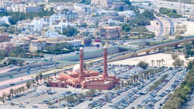 تقرير محلي: 73% نسبة إنجاز المزرعة الاقتصادية... والانتهاء منها 2027