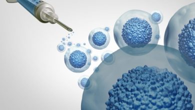 تنظيم التعامل مع مسائل الخلايا الجذعية