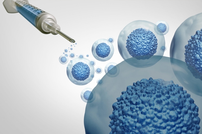 تنظيم التعامل مع مسائل الخلايا الجذعية