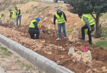 تواصل حملة التشجير الوطنية في جرش...